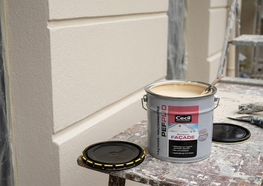 Peinture Façade Pliolite Ton Pierre Mat Cecil, 10 L