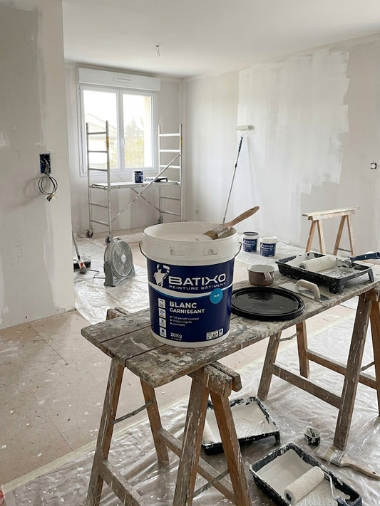 Peinture Blanc Mat BATIXO, 20 kg