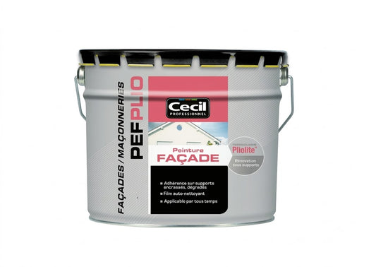 Peinture Façade Pliolite Blanc Mat Cecil, 10 L