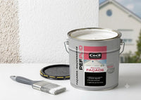 Peinture Façade Pliolite Blanc Mat Cecil, 10 L