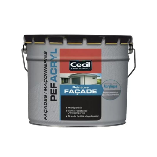 Peinture Façade Acrylique Ton Pierre Mat Cecil, 10 L