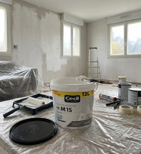 Peinture Essentiel PE M15 Mat Cecil, 12 L